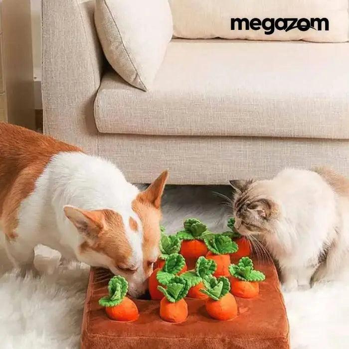 Carrot Land Gazom™ - Brinquedo Interativo Para Pets - Megazom